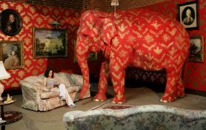 elefantenella-stanza